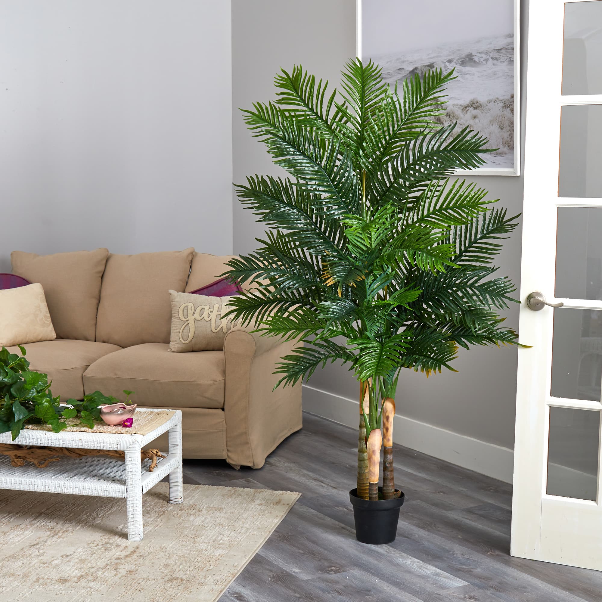 6ft. Potted Areca Palm Tree